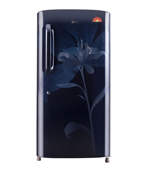 LG 260 L 4 Star Frost Free Doubl Door Refrigerator