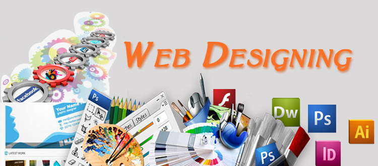 Website Designing Company in Delhi N2N systems