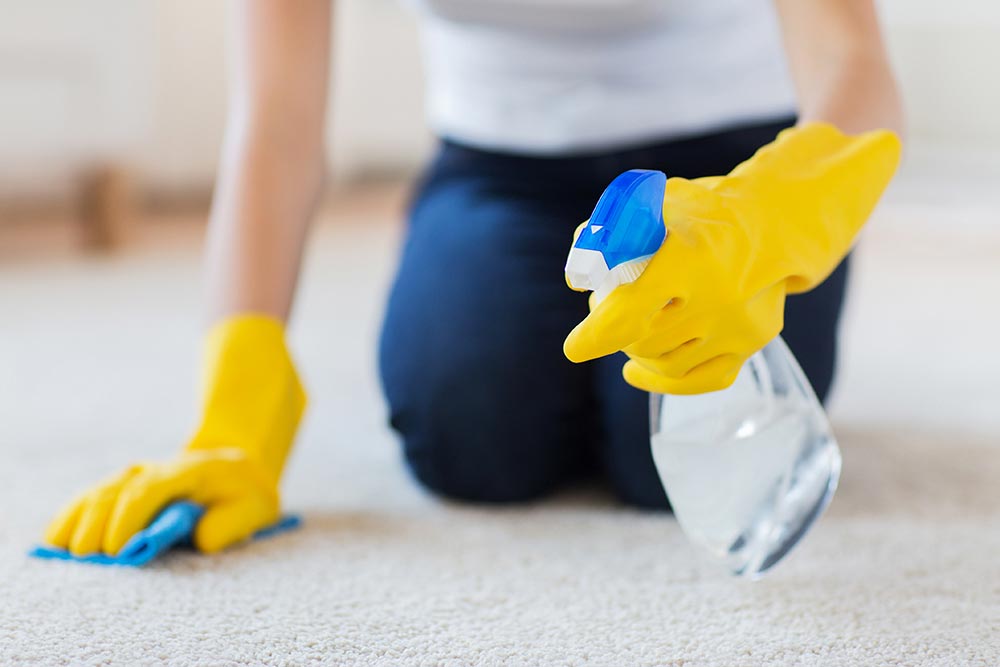 Carpet Cleaning Upholstery Cleaning Andhra Pradesh 