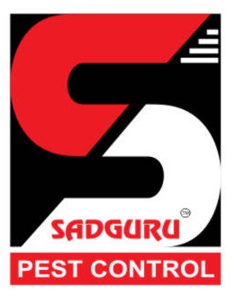 Residential Pest Control Service Sadguru Pest Control in Dadar