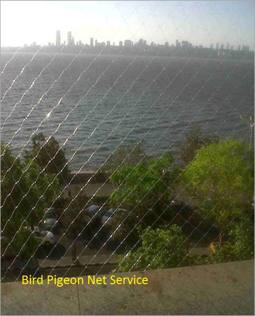 Anti bird net manufacturer and suppliers
