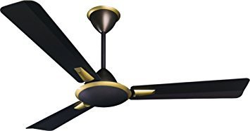 Buy crompton aura prime anti dust 48inch ceiling fan from nbhomeshop
