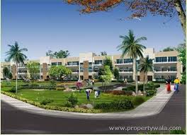 rps palm floors Faridabad rps palm floors faridabad review