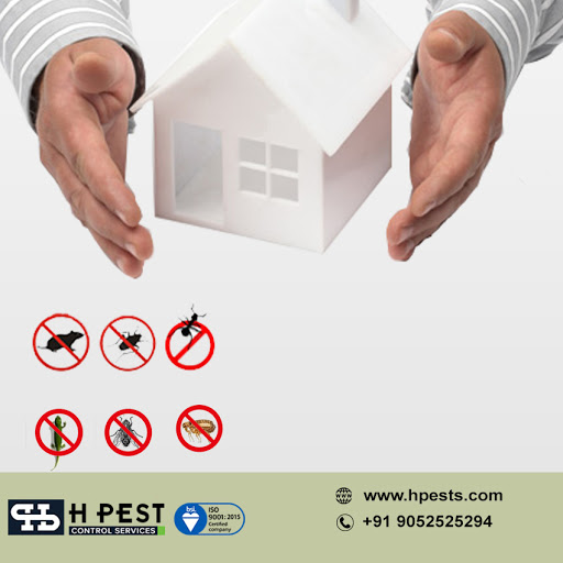 Hpests pest control services in hyderabad pest control services