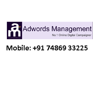 Adwords Management Service at in Mumbai Ahmedabad Bengaluru Delhi