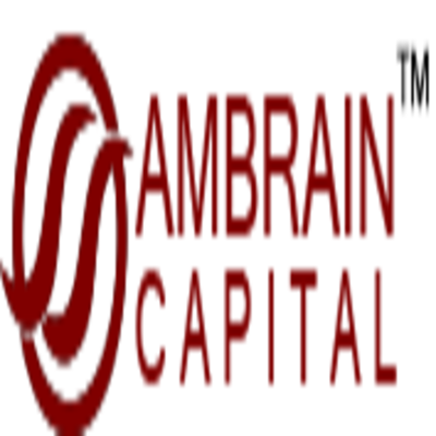 Financial Advisors in India Ambrain Capital Advisors