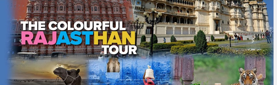 Tour Operator in udaipur Lakeview trip