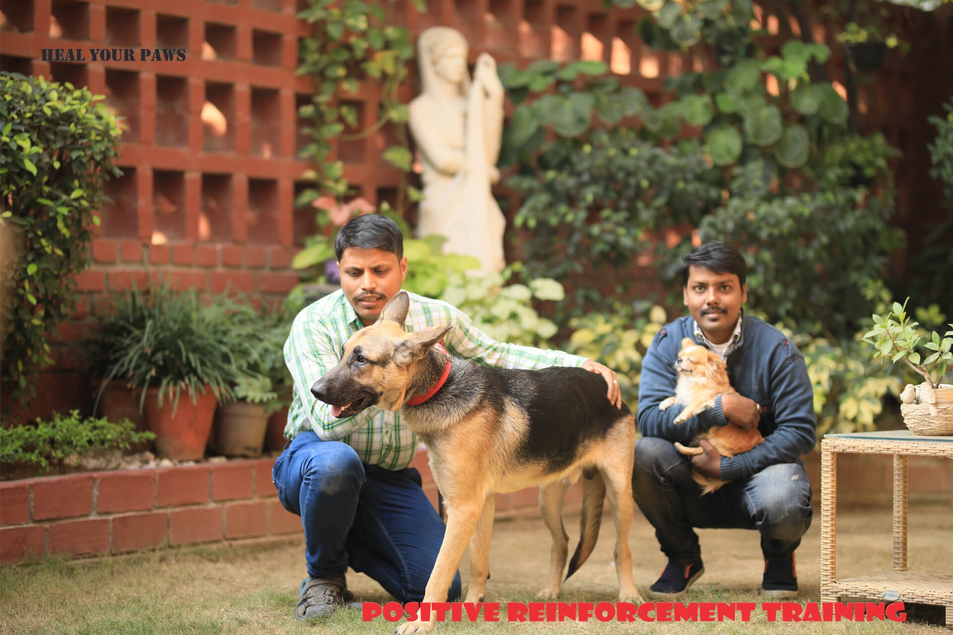 Best Dog Boarding Training in South Delhi